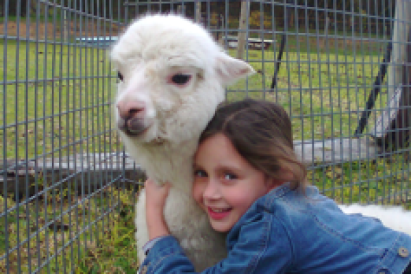 girl with an Alpacca in Goolwa Animal Farm