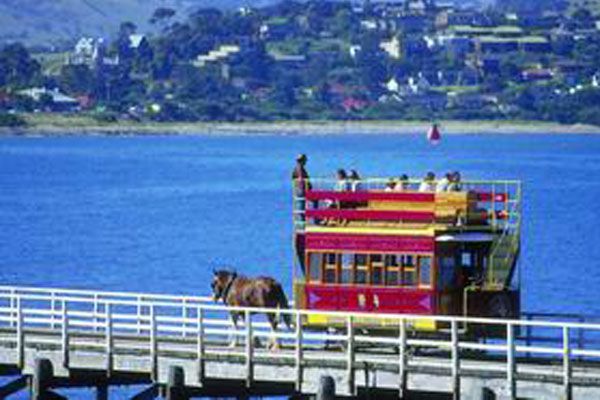 horse drawn trams in its way to Granite Island